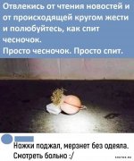 1704396958_shutok.ru.33.jpeg