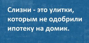 53185798_original.jpg