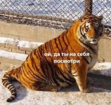 IMG_1418.jpeg
