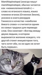 1704518352_shutok.ru.15.jpg