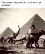 1704652237_shutok.ru.18732319.jpg