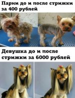 IMG_1461.jpeg