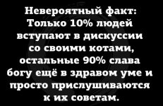 HcEHJIoeNF8.jpg