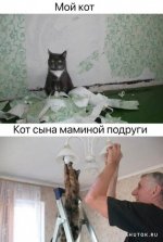 1705226718_shutok.ru.44.jpg