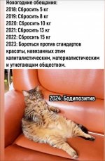 18739324.jpg