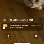 IMG_1608.jpeg