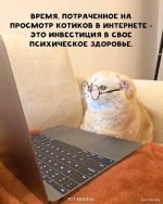 1706533264_shutok.ru.15.jpg