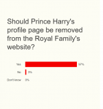 97-say-yes-de-should-prince-harrys-profile-page-be-removed-v0-ype25ljn88gc1.png