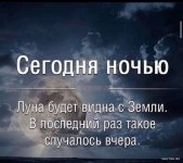 1707160737_shutok.ru.9.jpg