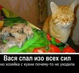 ydP_uK13d9U.jpg