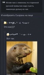 18689639.jpg