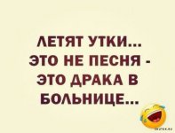 1706726998_shutok.ru.2 (1).jpg