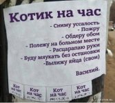 1707419842_shutok.ru.18823611.jpg