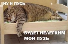 1707648059_shutok.ru.2.jpg