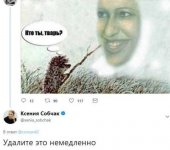 18845767.jpg