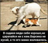 IMG_20191020_191114.jpg