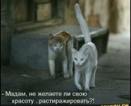 IMG_20191022_170424.jpg