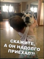 IMG_20191022_170409.jpg