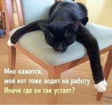 IMG_20191027_155931.jpg