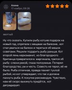 PjbSELNNgL8.jpg