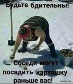 1708084093_shutok.ru.22.jpg