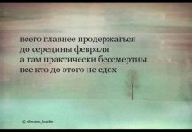1228212_800.jpg