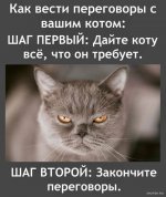 1708335526_shutok.ru.6.jpg