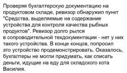 IMG_1962.jpeg