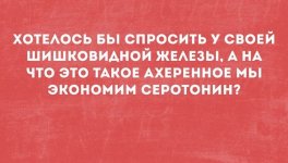 IMG_1991.jpeg