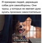 1708537666_shutok.ru.8.jpeg