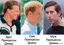 1707328715_shutok.ru.3.jpg