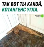 1-12.jpg_result.jpg