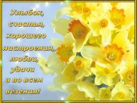 нарциссы.jpg