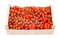 19962676-box-with-tomatoes.jpg