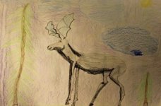 IMG_2058.jpeg