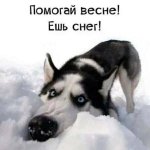 -mRQyvJUpw0 (1).jpg