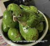54647440_original.jpg