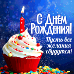 IMG_2866.gif