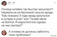 1709614115_shutok.ru.3.jpg