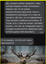 collage (125).png