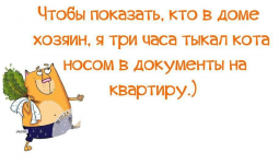 1709756620178.png
