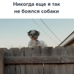 2022-01-24_10-50-43.png.ee20945c83865d47db4e62b8a88ef2fe.png