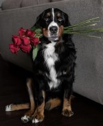 IMG_2143.jpeg