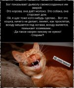 VDYUaEaJncQ.jpg