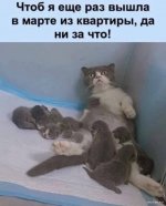1710087518_shutok.ru.11 (1).jpg