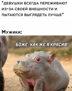 IMG-7d7e7a2d2425ce8651b4fc6f878fa06b-V.jpg
