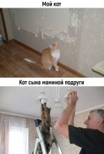 7481446_original.jpg
