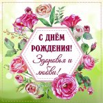 IMG_2880.jpeg