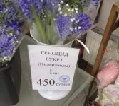 55078676_original.jpg