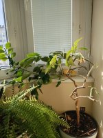 IMG_20240314_130629.jpg